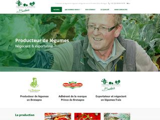Producteur de légumes et négociant de légumes dans le Finistère (29) en Bretagne