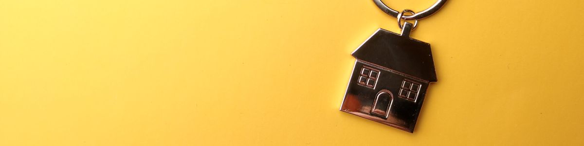 Module agence immobilière constructeur pour la vente de biens immo et/ou terrains Module agence immobilière constructeur pour la vente de biens immo et/ou terrains