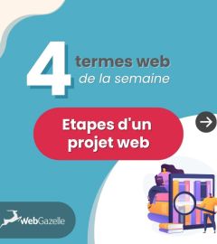 [#DicoDuWeb] Quels sont les différentes étapes d'un projet web ? 🌐

🔍 Zoom sur les étapes de : Pré-prod; Recette; PROD; sans oublier la machine à café......