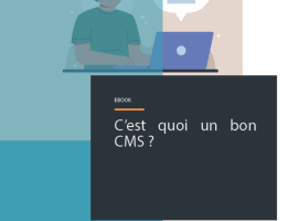 Ebook : Qu'est-ce qu'un bon CMS ?