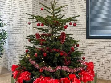 La magie de Noël a une nouvelle fois opéré chez Cognix Systems ✨

Retour en images sur une belle après-midi placée sous le signe de la convivialité et du...