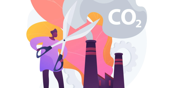 Un CMS écologique, ça existe ?