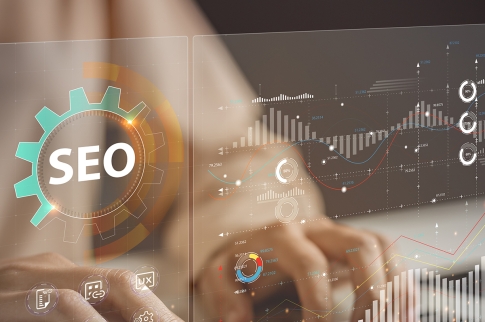 Avec WebGazelle, suivez et comprenez vos les performances de votre site internet