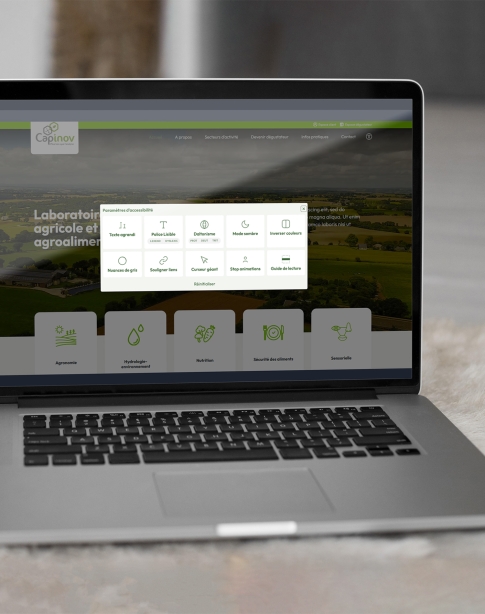 Les options d'affichage sont personnalisables