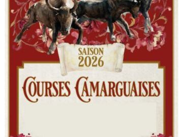 [#Sortie] Début de la course Camarguaise avec Vincent Ribera Organisation  🐃

📅 Dimanche 5 avril à 16h00
📍30240 Le Grau-du-Roi
🎟 Billetterie en premier...