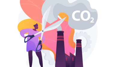 CMS &eacute;cologique, c'est possible ?